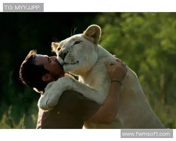 “也是小狮子们在治愈他啊”